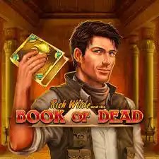 Book of Dead slot visual from Play&#039;n GO available on le-bullcasino.pt
